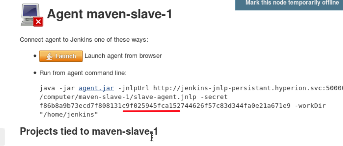 ../_images/jenkins-slave-new-node-secret.png